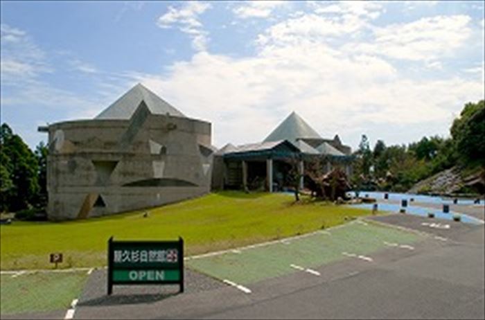 屋久杉自然館